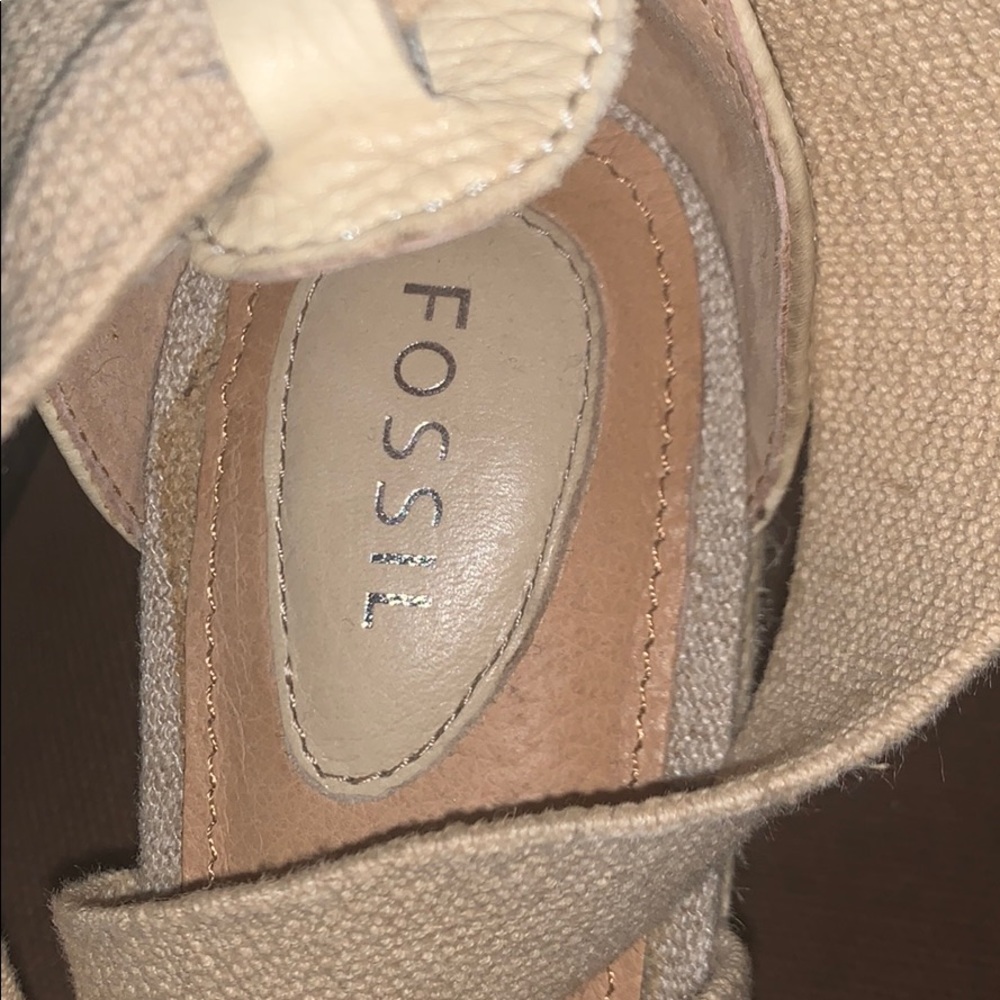 Fossil wedges - Picture 2 of 4